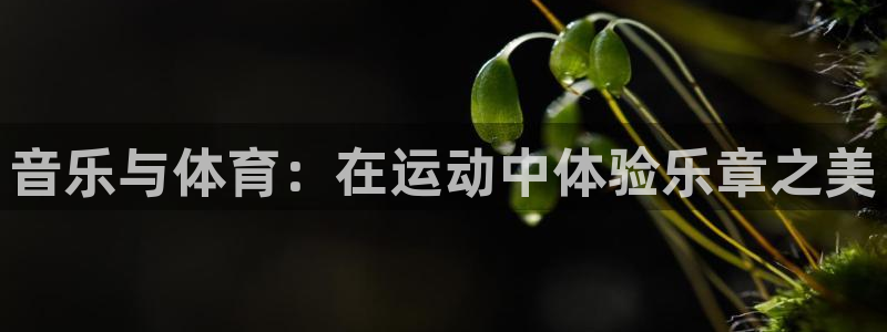 MK体育官网下载招商电话地址:音乐与体育:在运动中体验乐章之