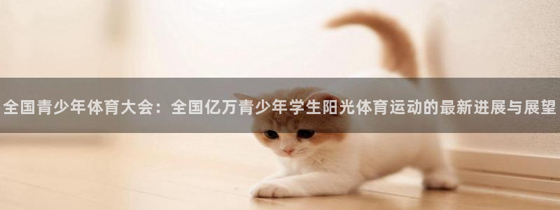 MK体育官网下载招商:全国青少年体育大会:全国亿万青少年学生