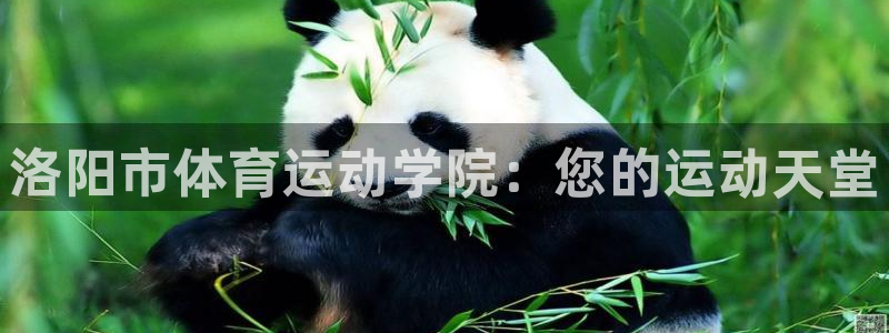 MK体育官网下载注册:洛阳市体育运动学院:您的运动天堂