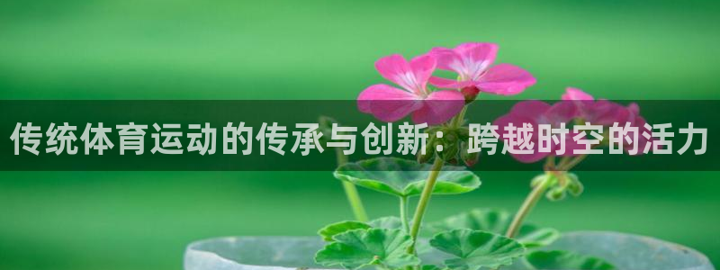 MK体育官方正版app集团官网首页:传统体育运动的传承与创新