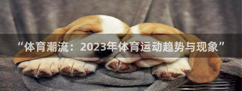 MK体育官方正版app神州:“体育潮流:2023年体育运动趋