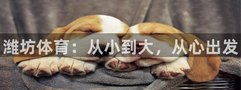 MK体育官网下载平台是正规平台吗:潍坊体育:从小到大,从心出