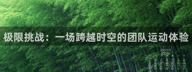 MK体育官网下载是干嘛的公司:极限挑战:一场跨越时空的团队运